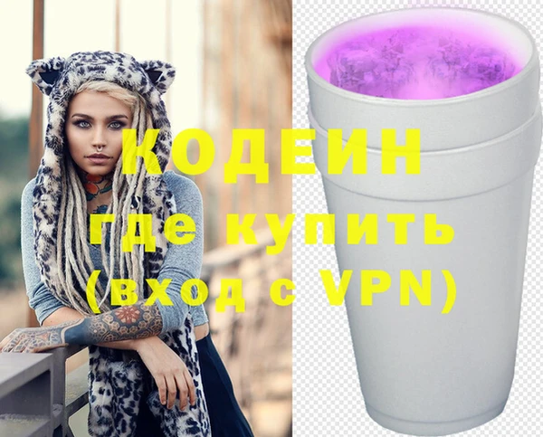 молекула духа Новодвинск