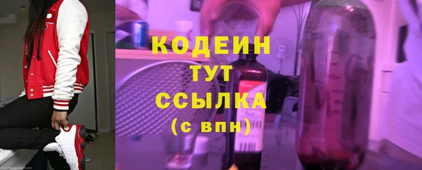 молекула духа Новодвинск