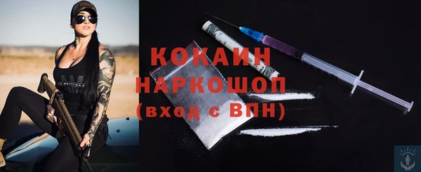 спиды Новозыбков
