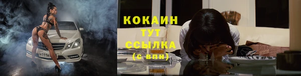 молекула духа Новодвинск