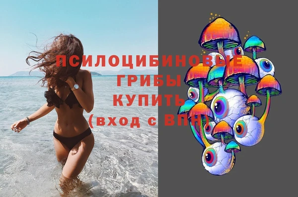 дмт Нязепетровск