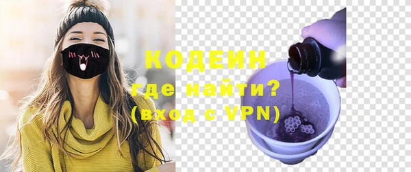 МДПВ Бородино