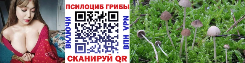 Галлюциногенные грибы MAGIC MUSHROOMS  блэк спрут ТОР  Нариманов 